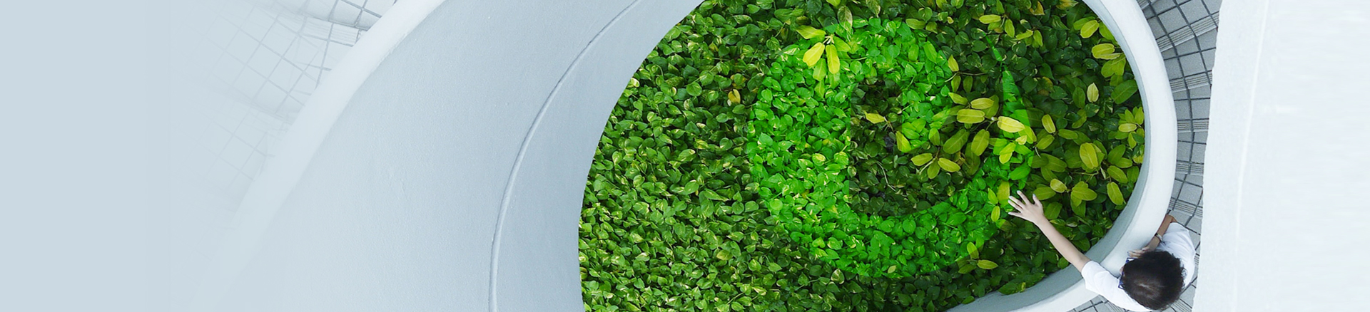 大江（中国）欢迎您